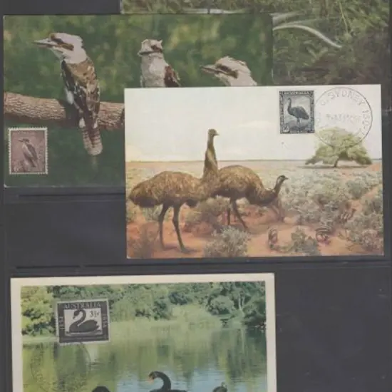 1954/57 early "Maxicards" for 3½d swan on ...