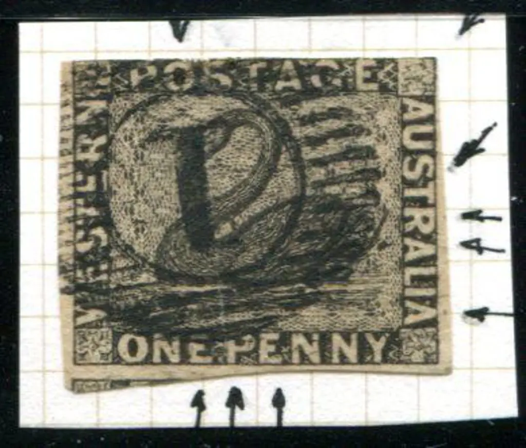 1854 1d black swan with "double-tail" variety. ... Image 1++