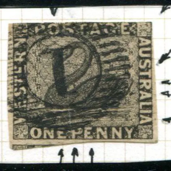 1854 1d black swan with "double-tail" variety. ...