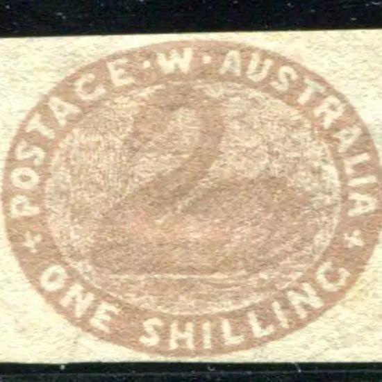 1855/55 1/- pale brown swan. Fine unused with ...