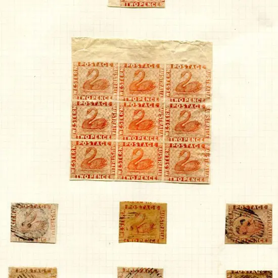 1860/64 2d orange swan group with each stamp ...