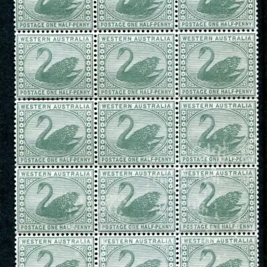 1885 ½d green swan, Crown CA wmk, MUH block of 18 ...