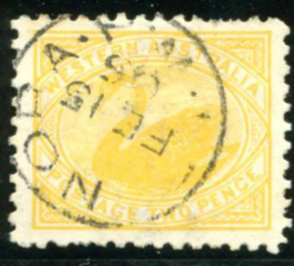 1903 2d yellow swan, perf. 11, with upright wmk. ... Image 1++