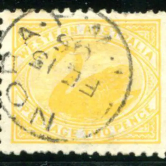 1903 2d yellow swan, perf. 11, with upright wmk. ...