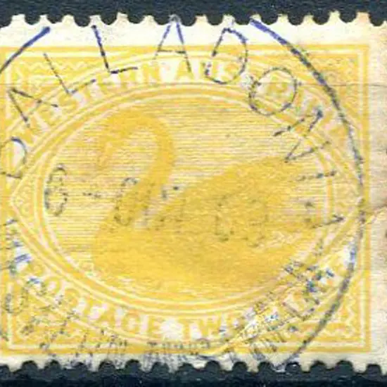 Balladonia A25 in blue ink on 2d yellow swan dated ...