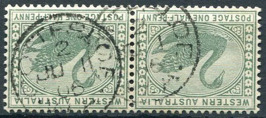 Cottesloe 3b-c index 2 on pair of 2d swans for JU ... Image 1++