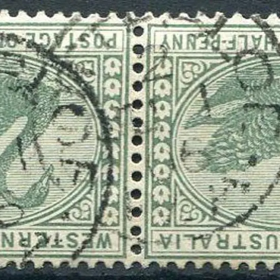 Cottesloe 3b-c index 2 on pair of 2d swans for JU ...