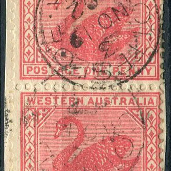 Cottesloe 3b-c index 3. Two strikes on 1d swans ...