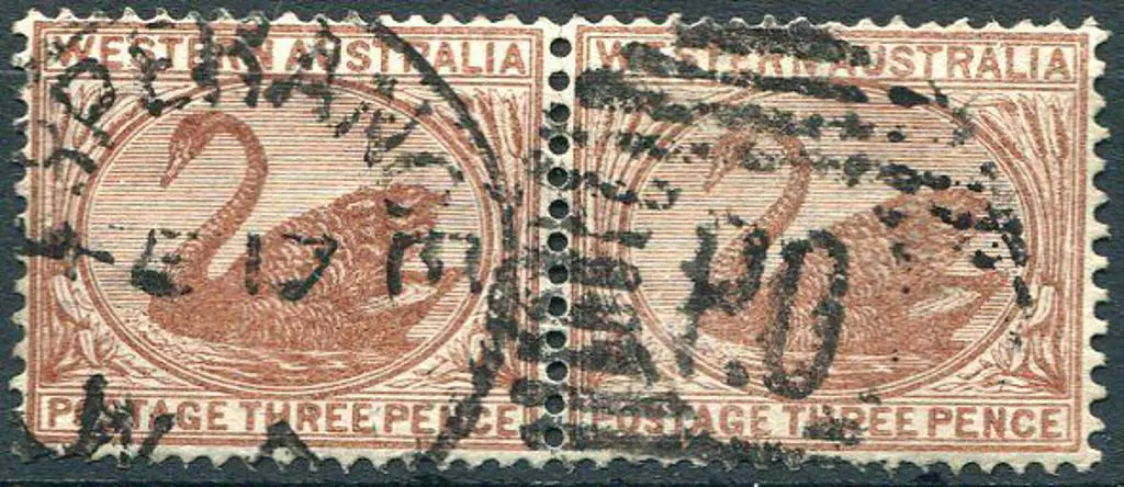Esperance DxPO Bold strike on 3d swans pair ... Image 1++