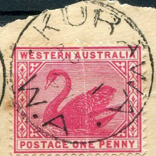 Kurawa 3b-a full strike on 1d swan on piece (cut ...