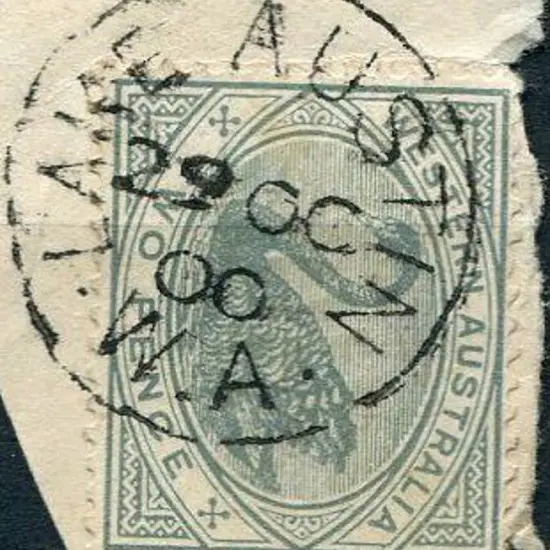 Lake Austin 3b-a full strike on 2d swan on piece ...