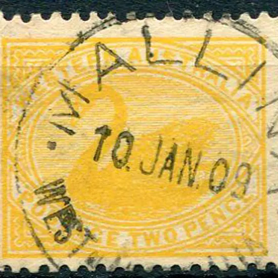 Mallina D26 An almost complete strike on 2d swan ...