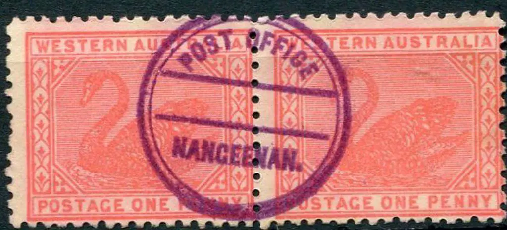 Nangeenan CRS 2 complete strike on 1d swan pair in ... Image 1++