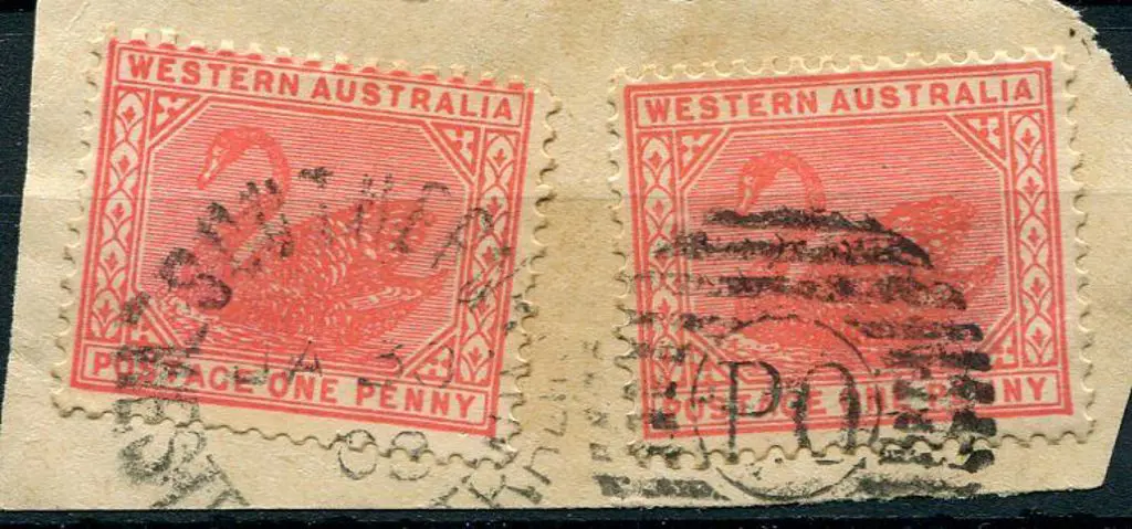 Southern Cross DxPO duplex in nil on pair of swans ... Image 1++