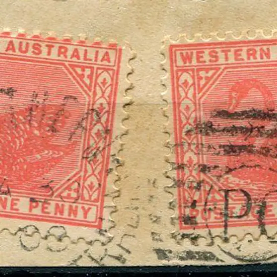 Southern Cross DxPO duplex in nil on pair of swans ...