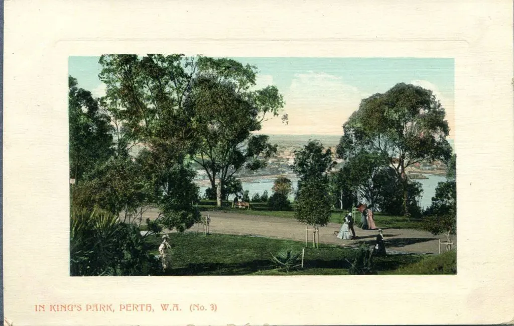 "In King's Park, Perth, WA (No. 3)". ... Image 1++