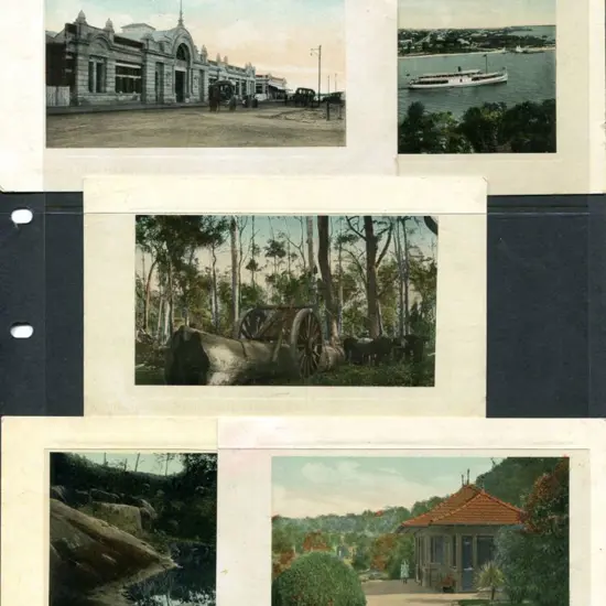 "Tea House, King's Park, Perth, W.A" ...