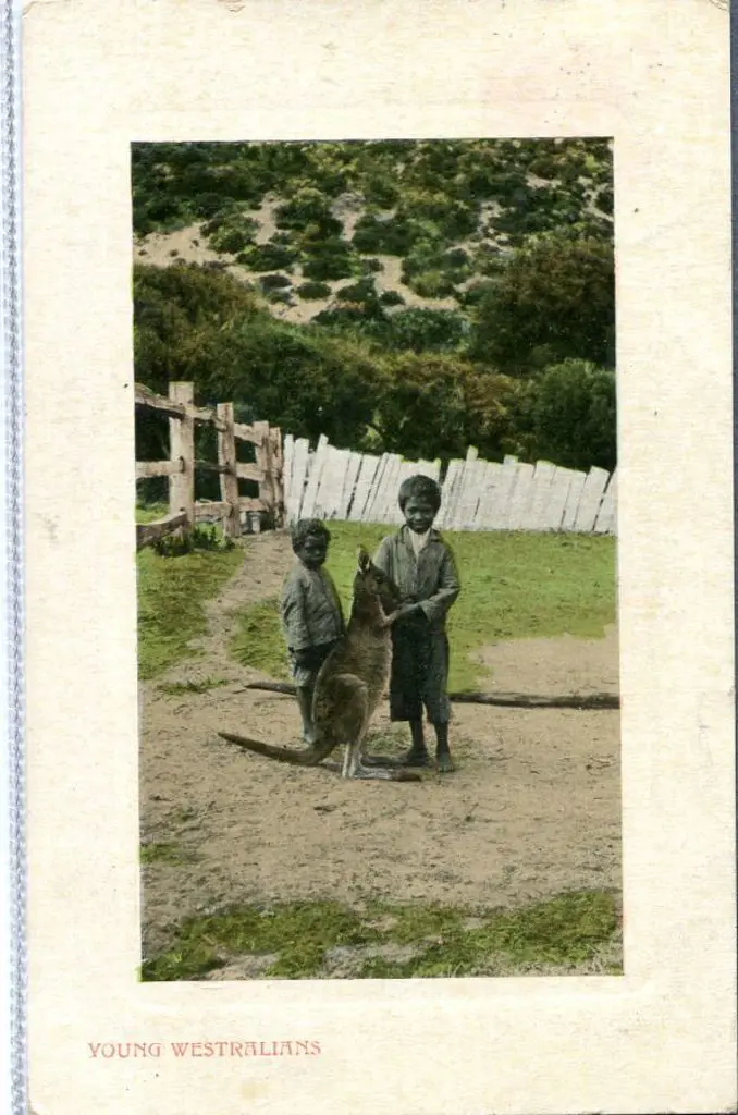 "Young Westralian's". Colour with white ... Image 1++