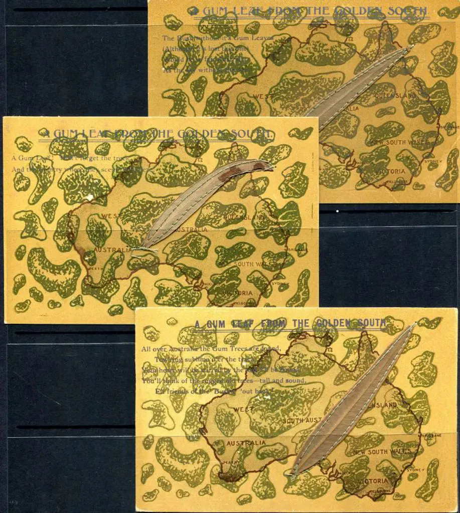 Harding &amp; Billings "A Gum Leaf from the ... Image 1++