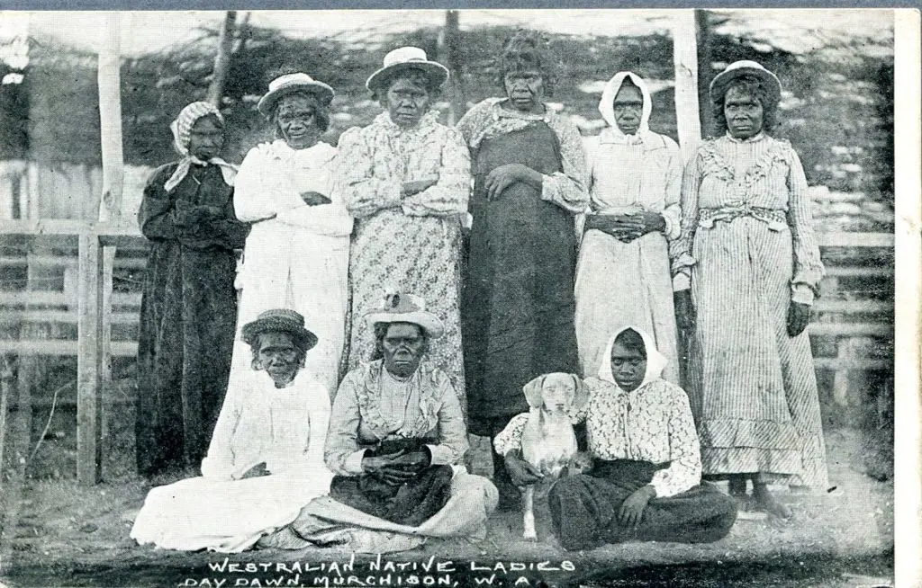 "Westralian Native Ladies Day Dawn, ... Image 1++