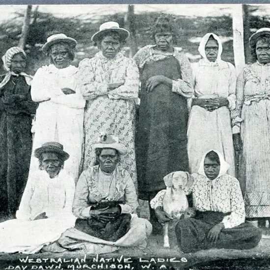 "Westralian Native Ladies Day Dawn, ...