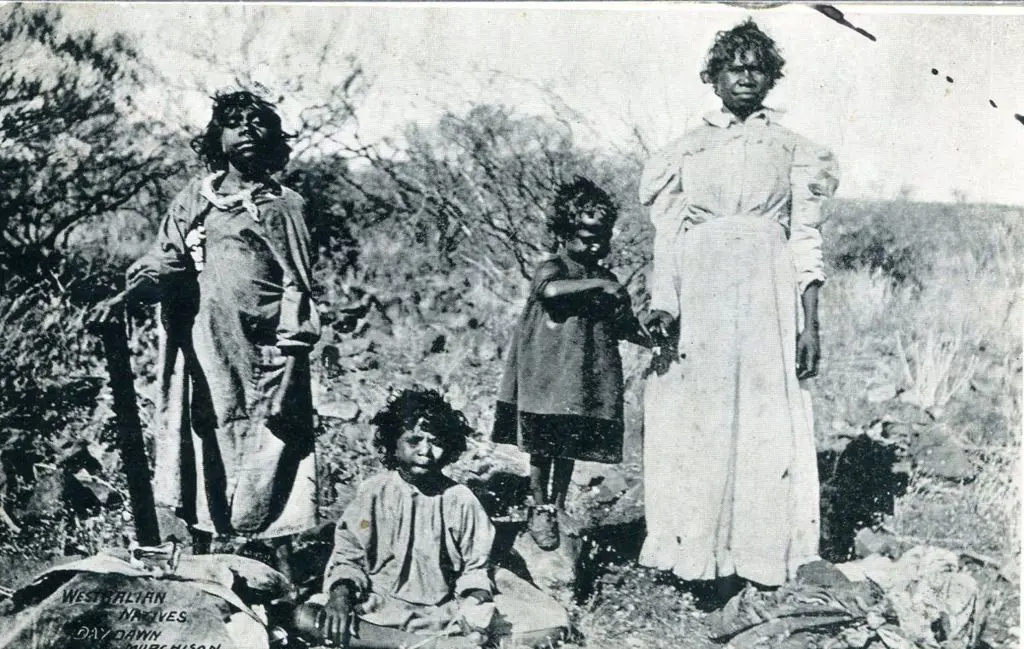 "Westralian Native ladies Day Dawn, Murchison, ... Image 1++
