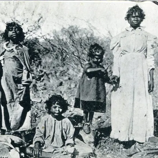 "Westralian Native ladies Day Dawn, Murchison, ...
