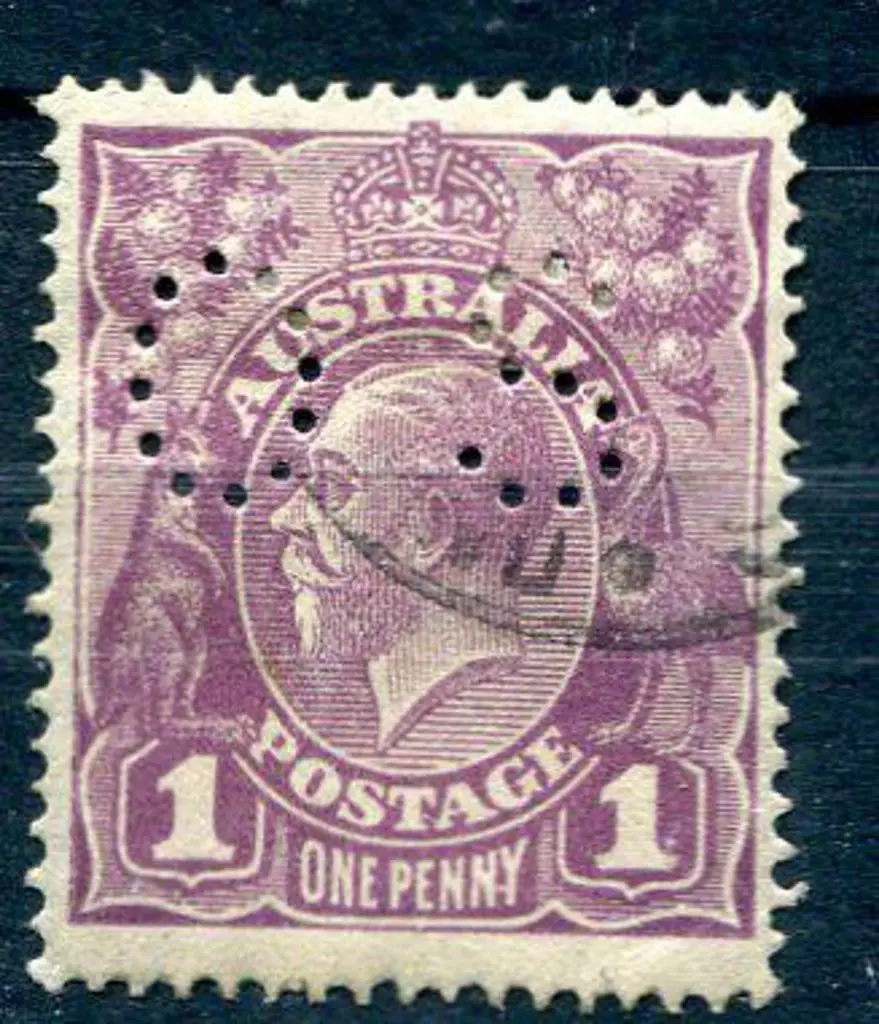 1d violet "NY join" variety perfined ... Image 1++