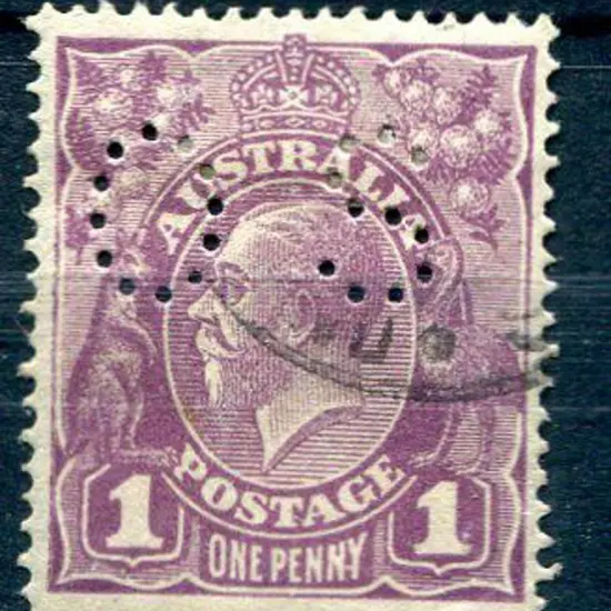 1d violet "NY join" variety perfined ...