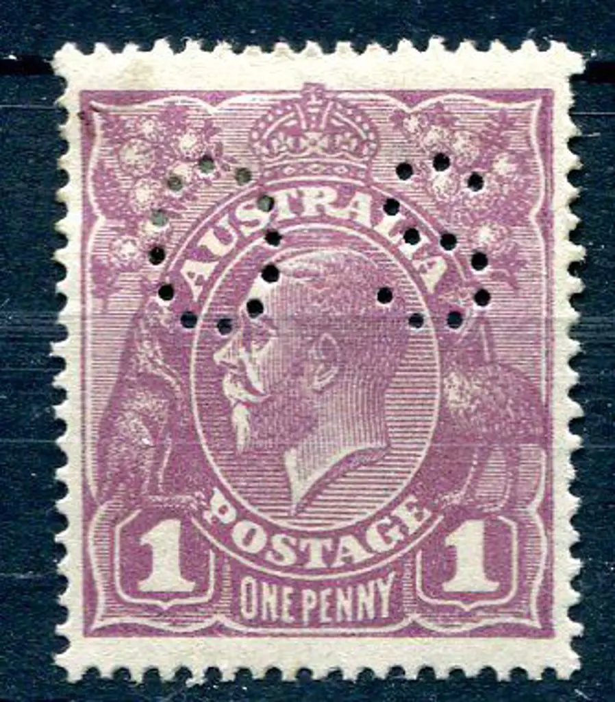 1d violet with "RA joined" variety &amp; ... Image 1++