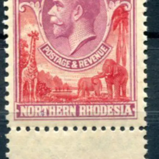 Northern Rhodesia 1925/29 20/- carmine-red & rose ...