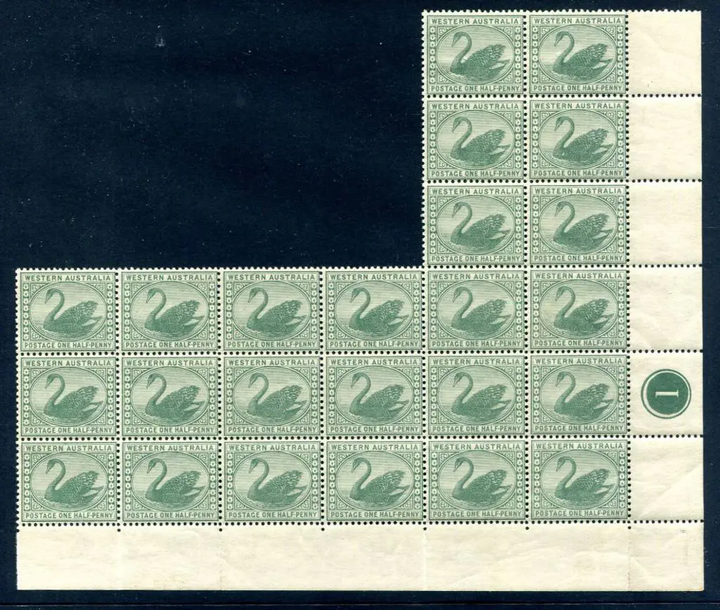 1885 ½d green swan in irregular "L" shaped lower ... Image 1++