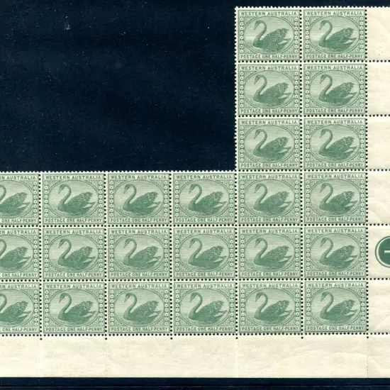 1885 ½d green swan in irregular "L" shaped lower ...
