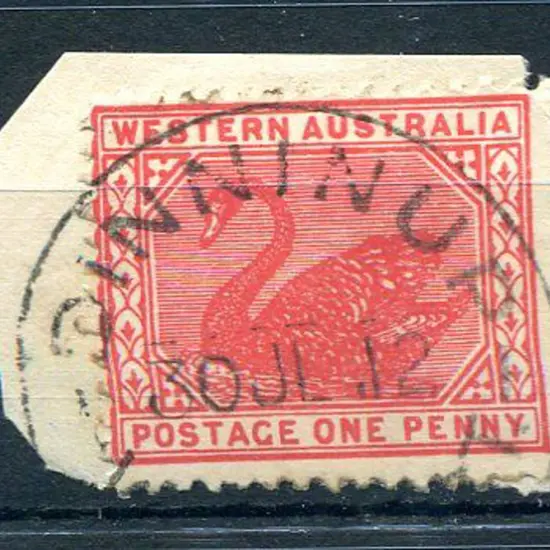 Dinninup B30 70% bold strike on 1d red swan for 30 ...