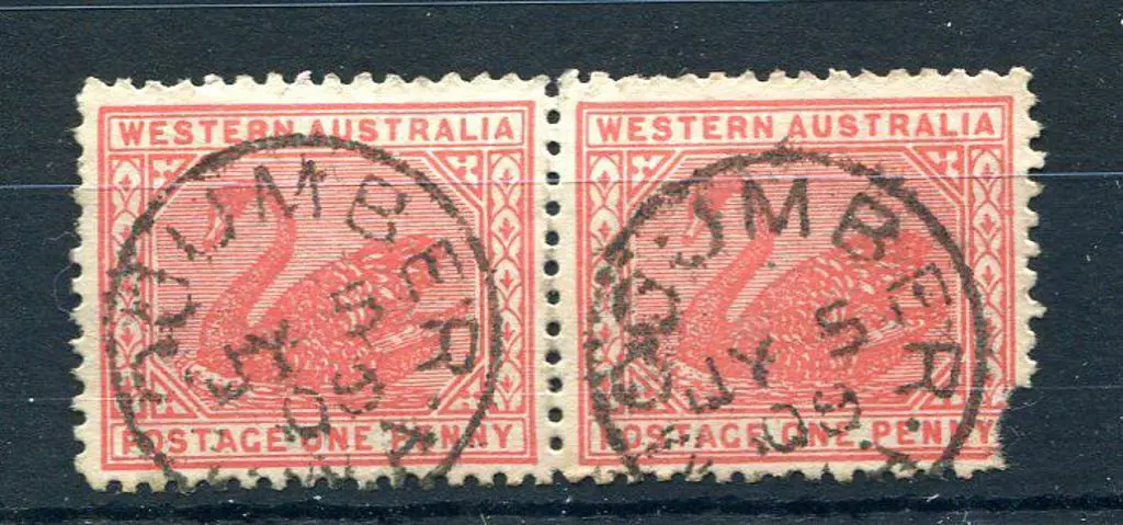 Mogumber 3d Two 95% strikes on pair of 1d swans ... Image 1++