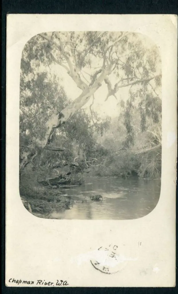 "Chapman River, WA" Austral b&w photographic card ... Image 1++