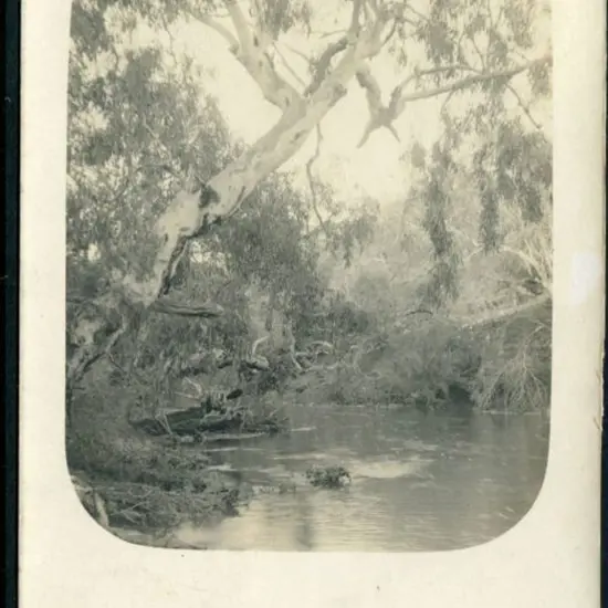 "Chapman River, WA" Austral b&w photographic card ...