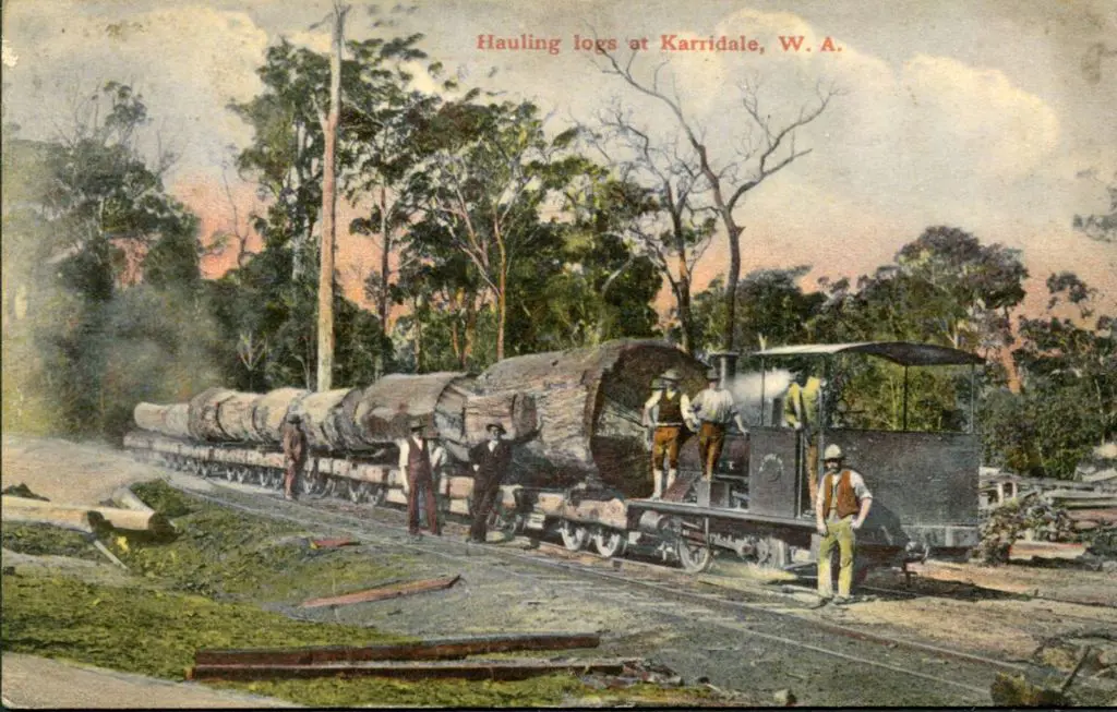 "Hauling Logs at Karridale, W.A." in colour ... Image 1++