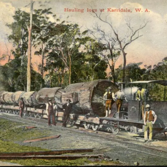 "Hauling Logs at Karridale, W.A." in colour ...