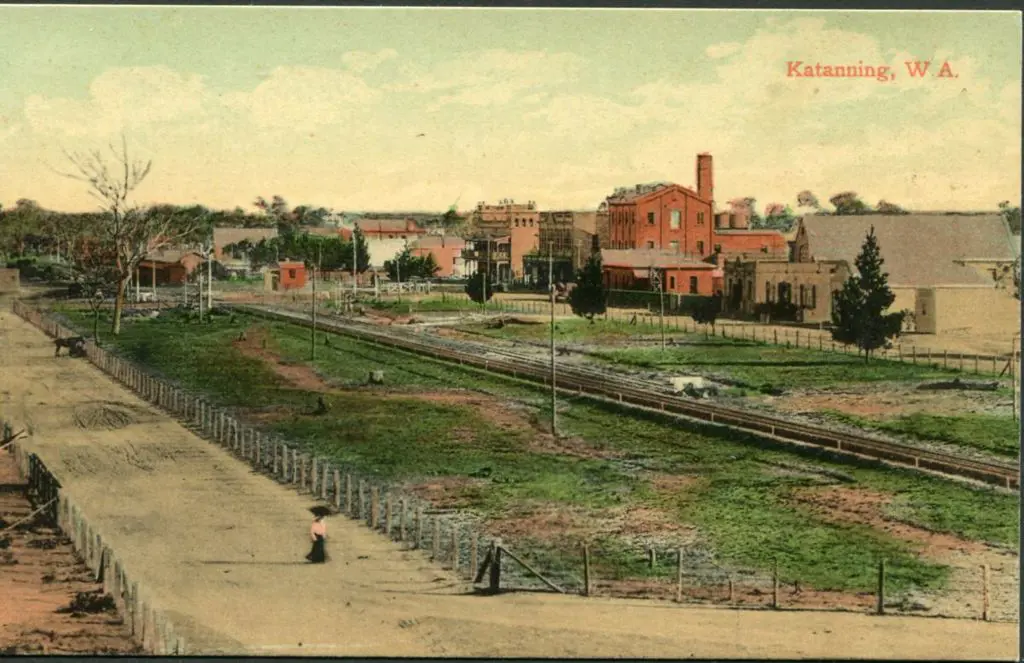 "Katanning, W.A." colour Falk card with 1d swan ... Image 1++