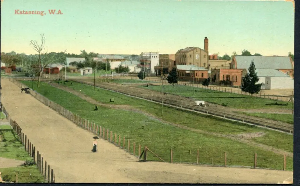 "Katanning, W.A." Falk unused coloured card in ... Image 1++