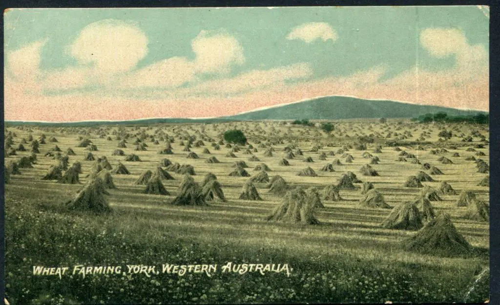 "Wheat Farming, York, Western Australia" published ... Image 1++