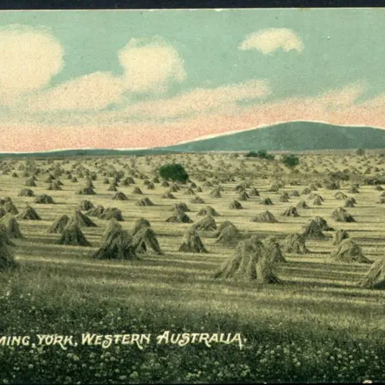 "Wheat Farming, York, Western Australia" published ...