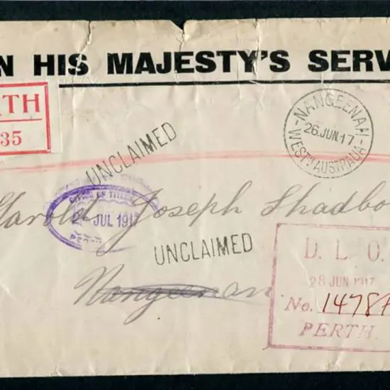 1917 (19th June) OHMS cover with two, one ...