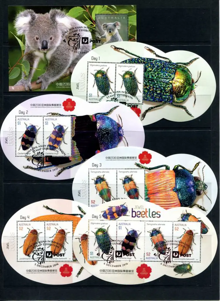 2016 Jewel Beetles set of Day 1 to 5 Miniature ... Image 1++