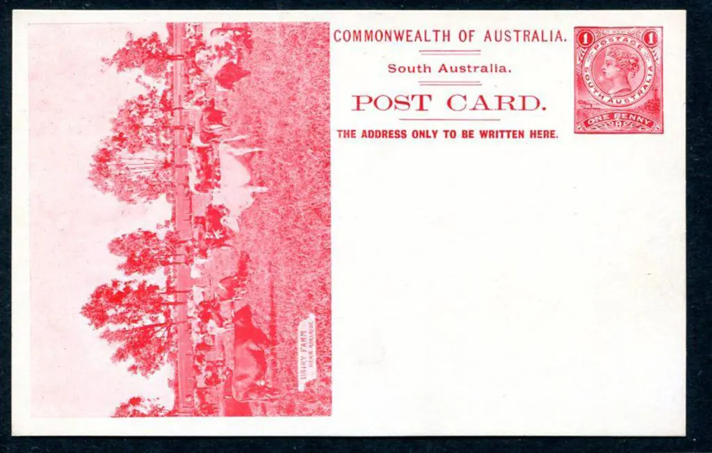 1908 1d Postal Card, Adelaide printing, titled ... Image 1++