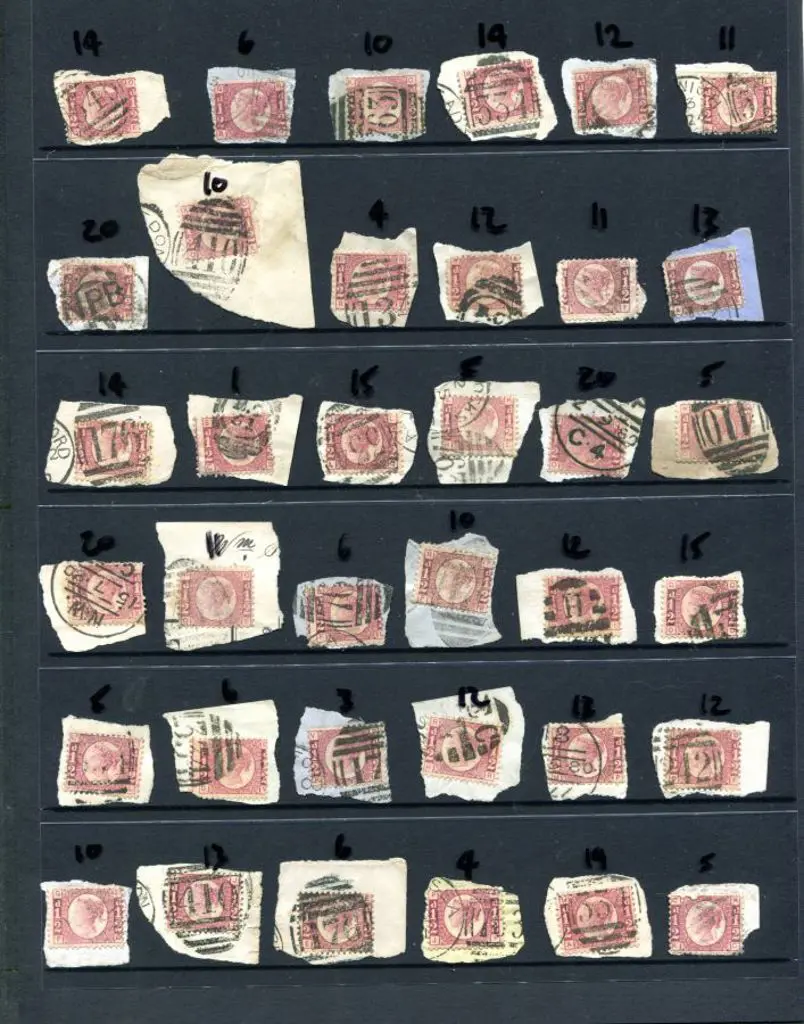 1870 ½d QV rose/red selection of plate numbers all ... Image 1++