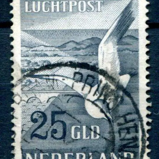 Netherlands 1951 25g blue black seagull Airmail. ...