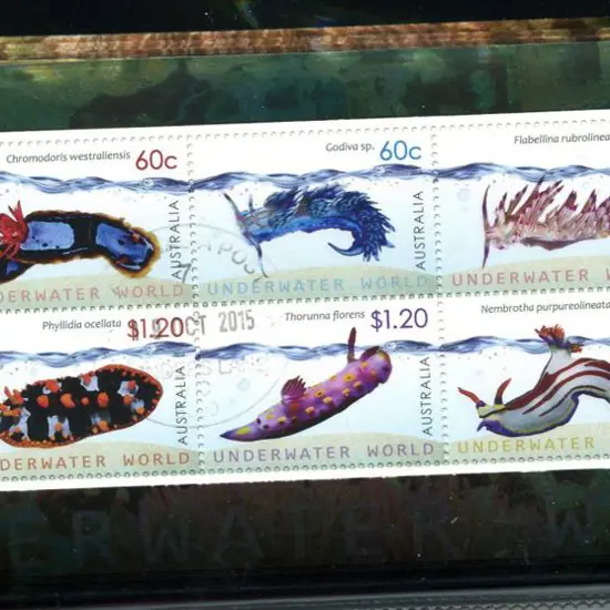 2012 Underwater World M/S's x 100 Flinders Lane, ...