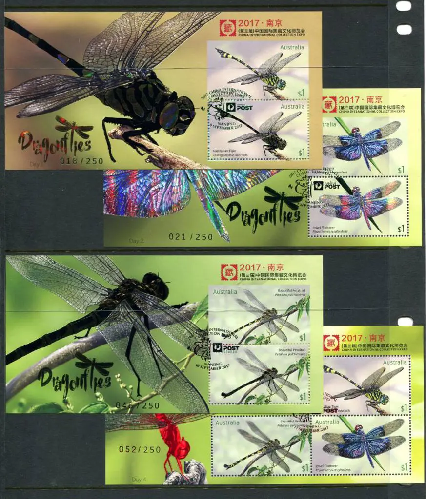 2017 (8th-11th Sept) Dragonflies set of Day 1 to 4 ... Image 1++